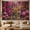 A, variant on XaaKee, Pink Botanical Wildcat Tapestry, Magenta Safari Jungle Wall Hanging, High-Quality Polyester Bedroom Tapestry, Realistic Animal Decor, 60x40Inch