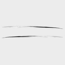 Chaparral Boat Sticker Decal 138265-01 | Sunesta 2007 Black (Set of 2)