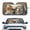 Cat Dog Duo Print, variant on XYZCANDO Cute Raccoon Driving & Bubble Blowing Pattern Car Windshield Sun Shade, Foldable UV Protection Custom Fit Front Window Interior Accessories for Cars SUVs