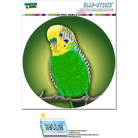 Green Parakeet - Budgie Bird Pet Circle SLAP-STICKZ(TM) Premium (Best Way To Treat Dark Circles)