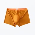 thumbnail image 2 of CENL Sexy Sheer Men Ice Silk Underwear Underpants Breathable Ultrathin Boxer Briefs, 2 of 8