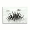 thumbnail image 2 of Gango Home Decor Agave BW I by Douglas Taylor (Printed on Paper); One 36x24in Fine Art Paper Giclee Print, 2 of 4