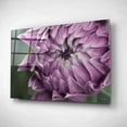 thumbnail image 2 of Epic Art 'The Grand Opening' by Lori Deiter, Acrylic Glass Wall Art, 24"x16", 2 of 3