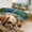 chudan-3, variant on Seashell On The Beach Bedding Set with Zipper Closure for Girls & Boys
