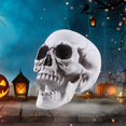 thumbnail image 2 of Life Size Human Skull Model Halloween Decor Skeleton Skull Realistic Human Adult Skull Head Bone Model Graveyard Outdoor Decor Grey One Size, 2 of 13