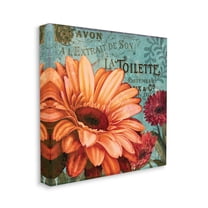 Stupell Industries Colorful Daisies with Antique French Backdrop, 36 x 36,Design by Art Licensing Studio