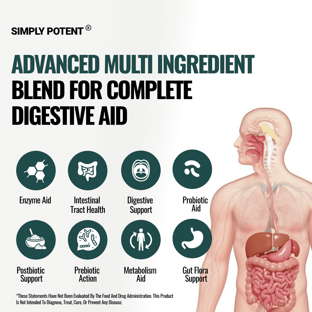 Simply Potents Bacillus Probiotics, Digestive Enzymes & Prebiotics Supplement, 60 Capsules