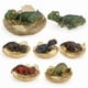 thumbnail image 1 of Set de figuras de dinosaurios nacidas, 6 unidades, triceratops de T-Rex, 1 of 3