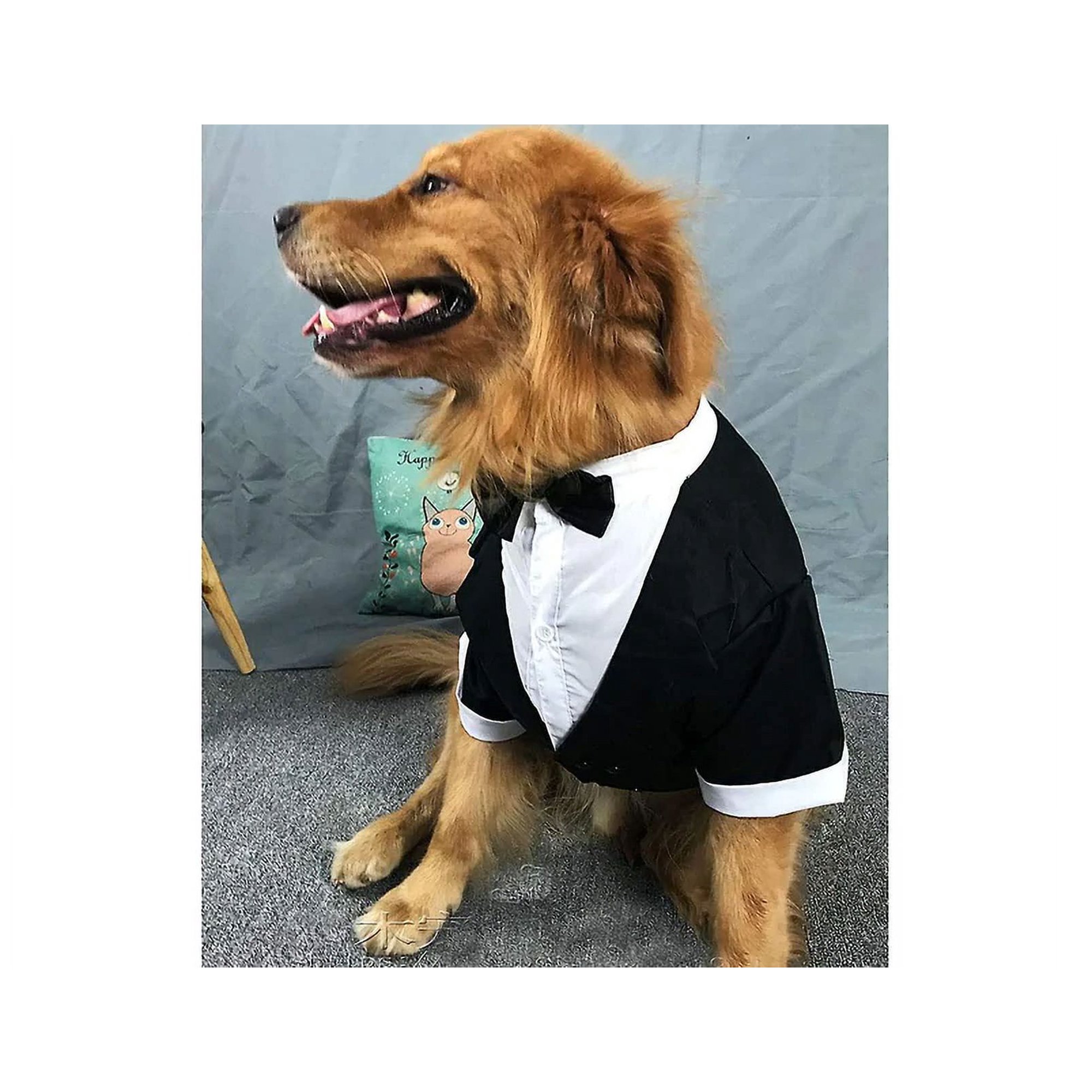 Large Dog Tuxedo Wedding Party Set, Dog Costume For Large Dog Golden Retriever Satsuma Bulldog 1 Piece, Black