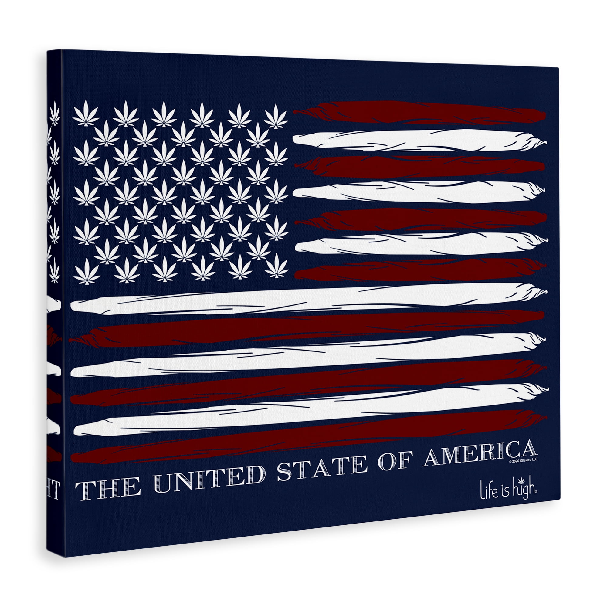 Stupell Industries Herb America Flag Novelty & Humor Painting Wrapped Canvas Art Print Wall Art, 20 x 16