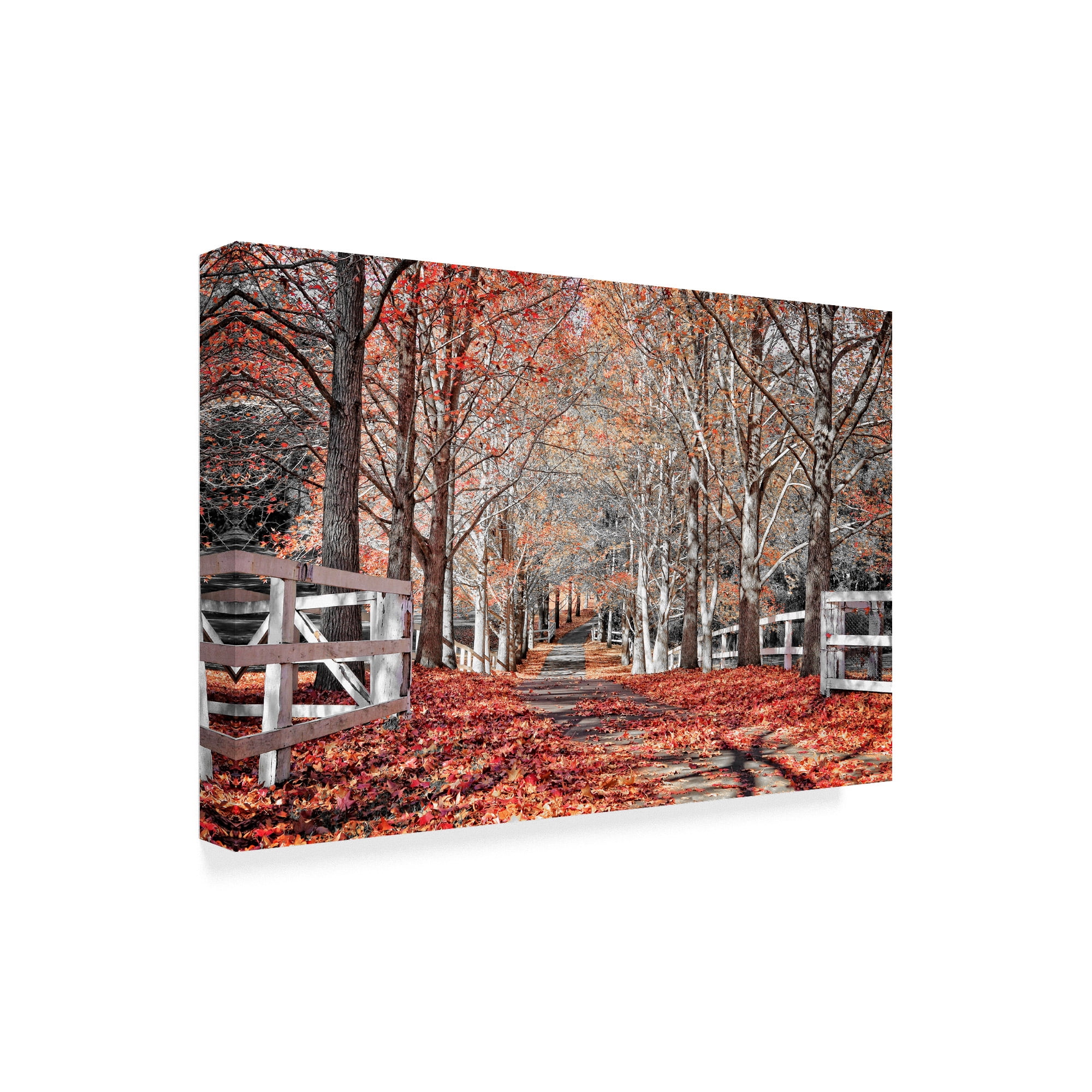 Trademark Fine Art 'Autumn Reds I' Canvas Art by Beata Czyzowska Young