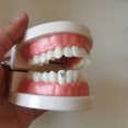 thumbnail image 3 of Recién llegado, 4 Uds., gemas dentales médicas de titanio puro, materiales reales, gemas dentales de alta calidad, 3 of 4