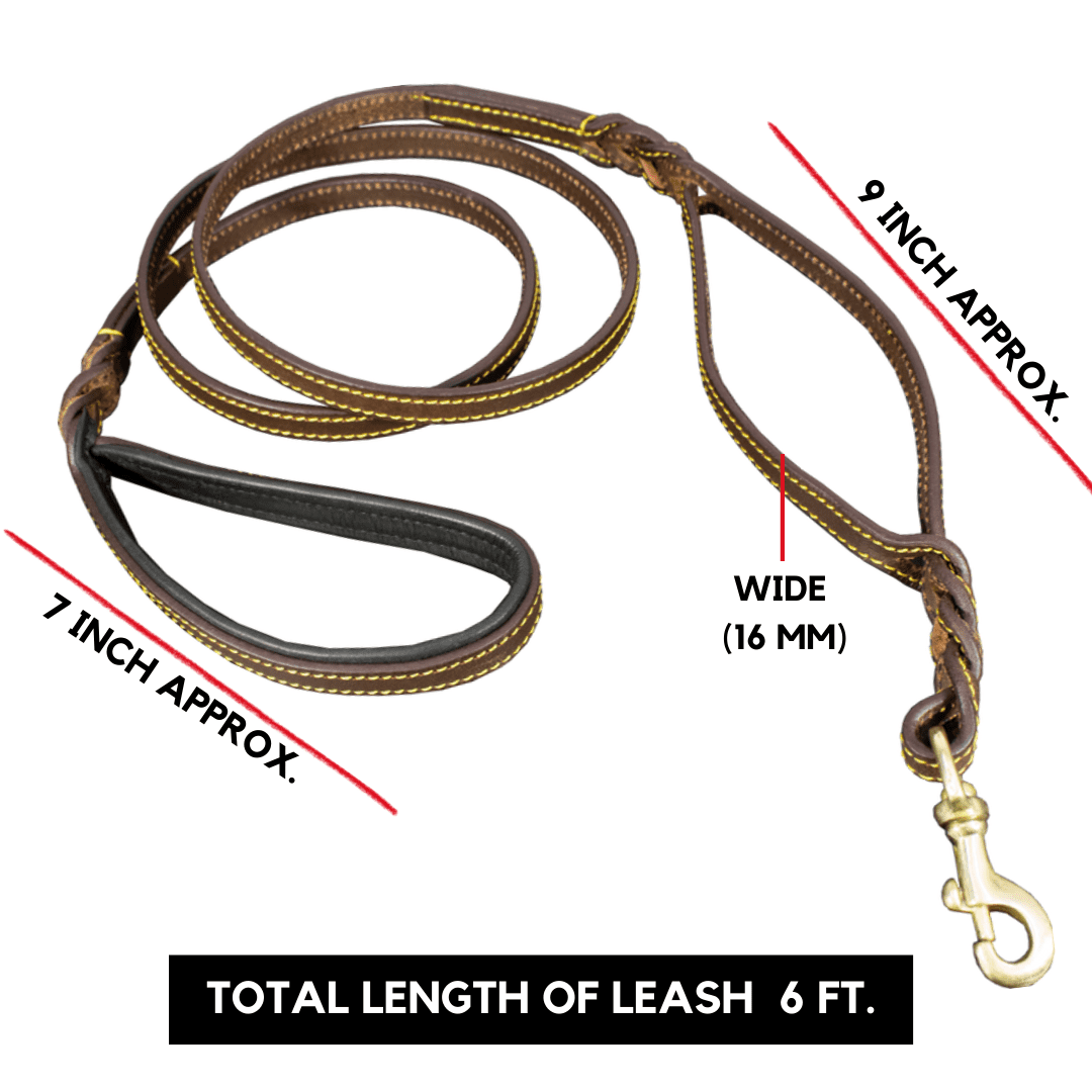 Leather Dog Leash, Genuine Cowhide Braided Pet Leash for Large Dogs, 6ft Easy Control Dog