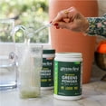 thumbnail image 4 of Greens First Original Greens Powder - 49 Superfoods - Organic Fruits & Veggies - Prebiotics, Probiotics & Digestive Enzymes - Antioxidant Smoothie - Dairy Free, Vegan & Non-GMO (Mint, 30 Servings), 4 of 9