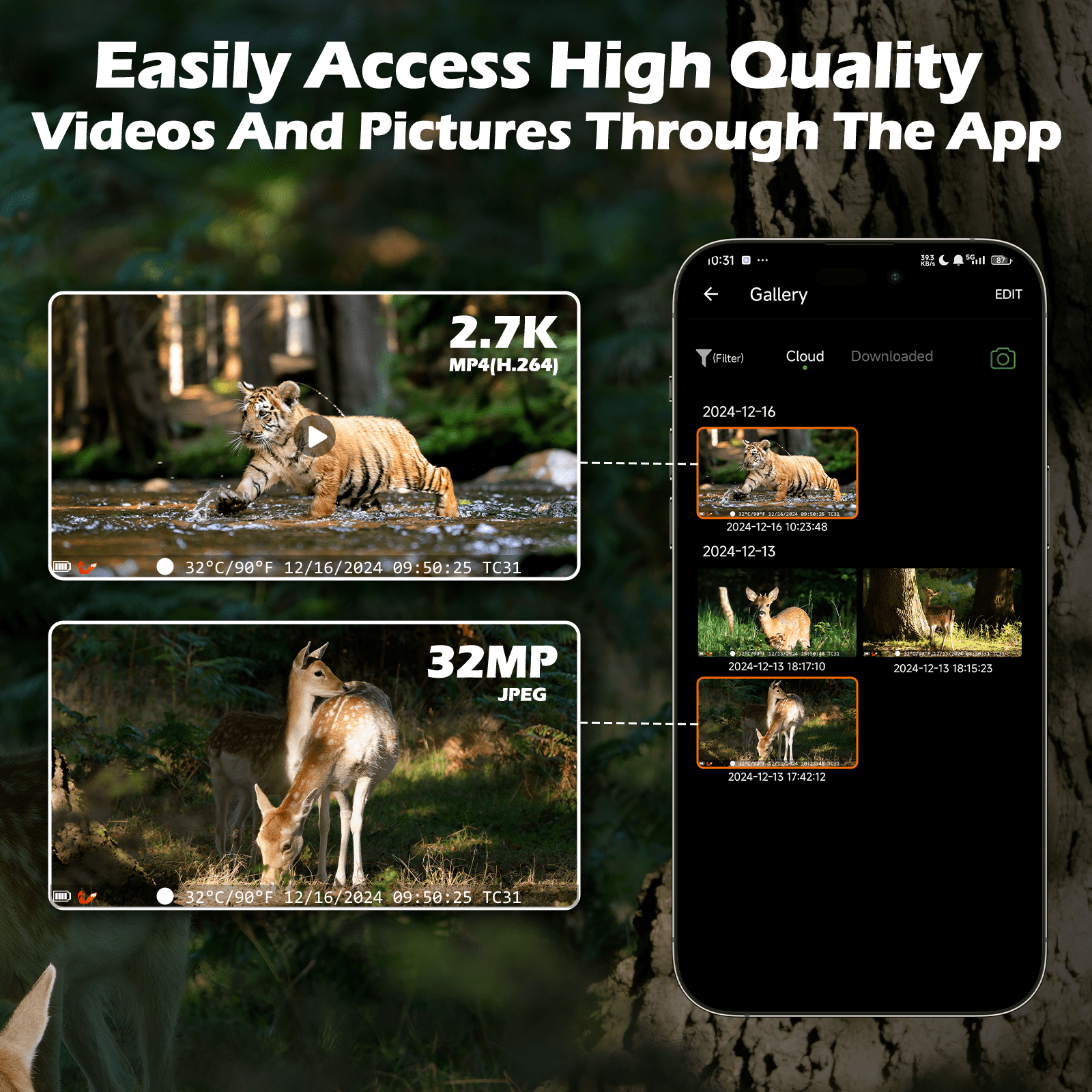 CAMPARK 2 Pack Trail Camera 4G Cellular, 1080P 32MP Hunting Game Camera Built-in SIM Card, 2.0" Screen, Lifelong Free Cloud Storage, Motion Alerts Night Vision IP66 Waterproof for Wildlife Monitoring