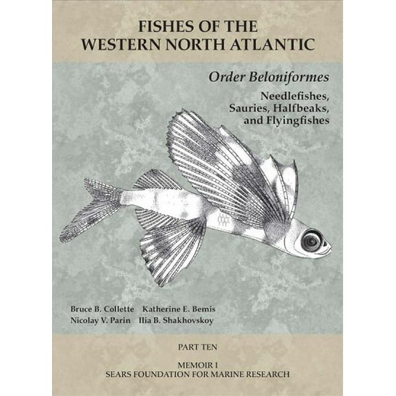 Fishes of the Western North Atlantic: Order Beloniformes: Needlefishes, Sauries, Halfbeaks, and Flyingfishes : Part 10 (Paperback)
