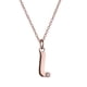 thumbnail image 2 of Set de Joyería para Mujer Iniciales LuckyLy, Collar y Aretes Oro Rosa 18k, Modelo Yara rosa UNITALLA, 2 of 7