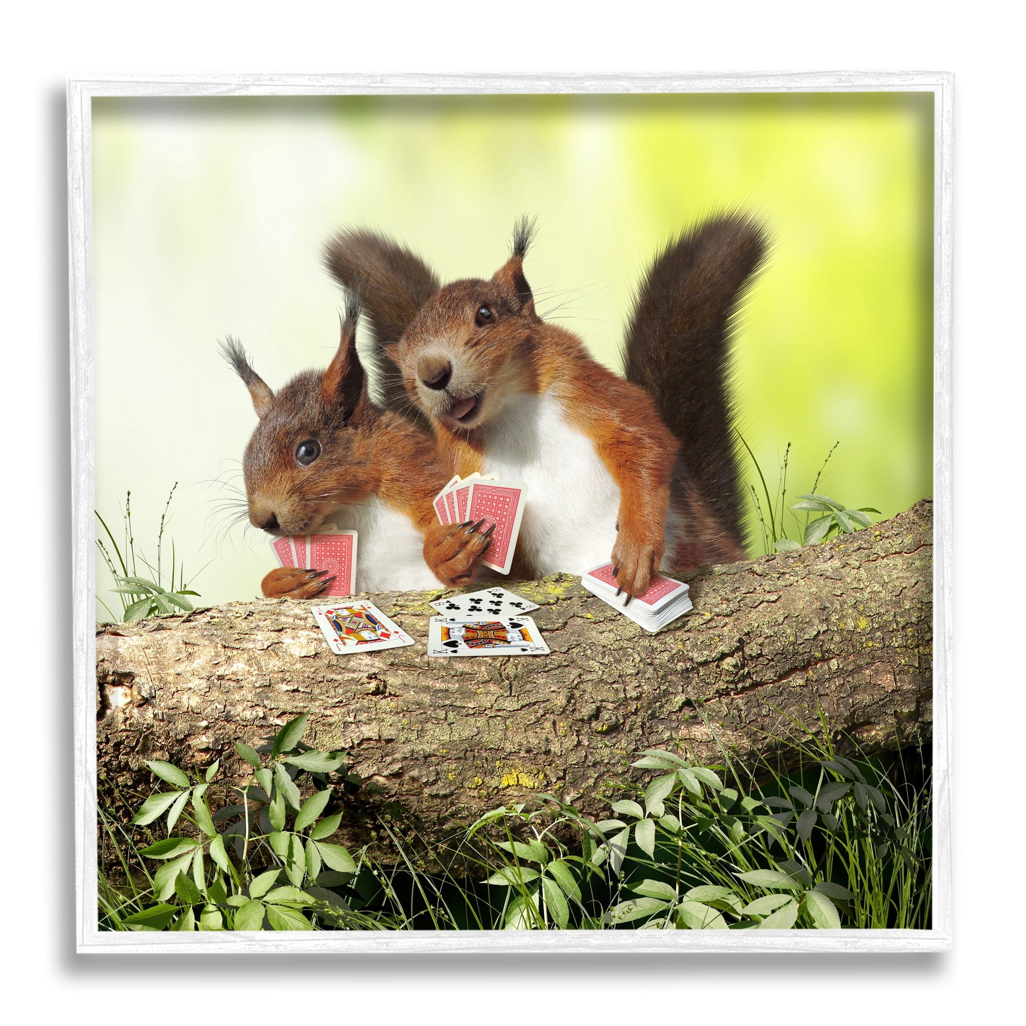 Stupell Industries Silly Squirrels Playing Card Games Tree Branch Photograph White Framed Art Print Wall Art, Design by Chiara