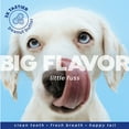 thumbnail image 5 of Naturel Promise Fresh Dental Tooth Brushing Kit for Dogs & Cats, 2 oz Gel and Toothbrush, 5 of 7