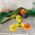 thumbnail image 4 of Pet Bird Interactive Rotating Windmill Toy for Cage Enrichment and Stress in Indoor Environments, 4 of 4