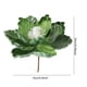 thumbnail image 3 of Rapeiae 15CM Adhesive Powder Flocking Christmas Flower High-end Fabric Christmas Decoration Simulation Flower, 3 of 6