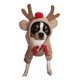 thumbnail image 1 of Sudadera Christmas Moose Ropa Perros Y Gatos Para Mascotas, 1 of 8