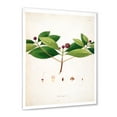 thumbnail image 2 of Designart 'Ancient London Plants X' Farmhouse Framed Art Print, 2 of 4