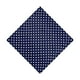 thumbnail image 1 of Sonducket Pañuelo de seda de imitación, accesorios de ropa, pañuelo que combina con todo, pañuelo de mujer para empresa, casa, viaje, Type3 NO3, 1 of 6