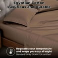 thumbnail image 6 of Superior Egyptian Cotton 400 Thread Count Deep Pocket Sheet Set, Queen Size, Taupe, 6 of 9