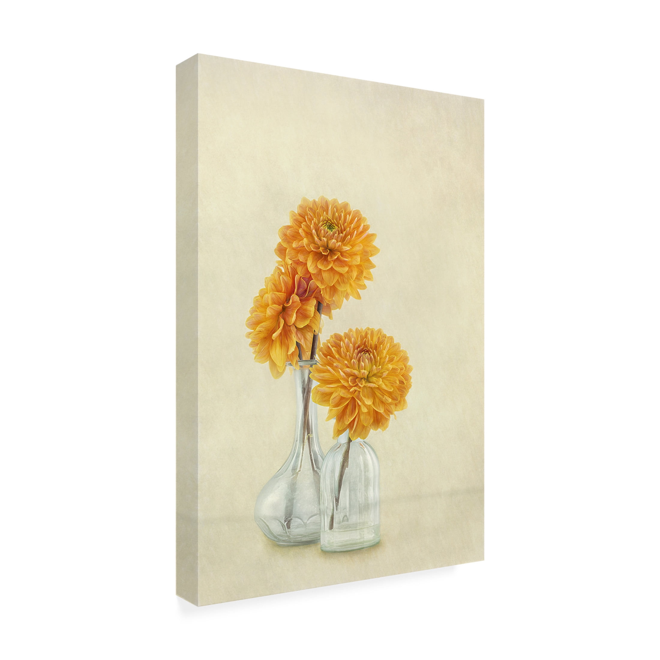 Canvas Wall Art - Gaille Gray '3 Dahlias' Wall Art for Living Room, Bedroom, or Office Décor by Trademark Fine Art - 12 x 19 Inches