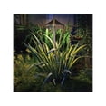 thumbnail image 2 of VOLT Landscape Lighting 9-piece Path & Area Light Brass LED Starter Kit, 2 of 4