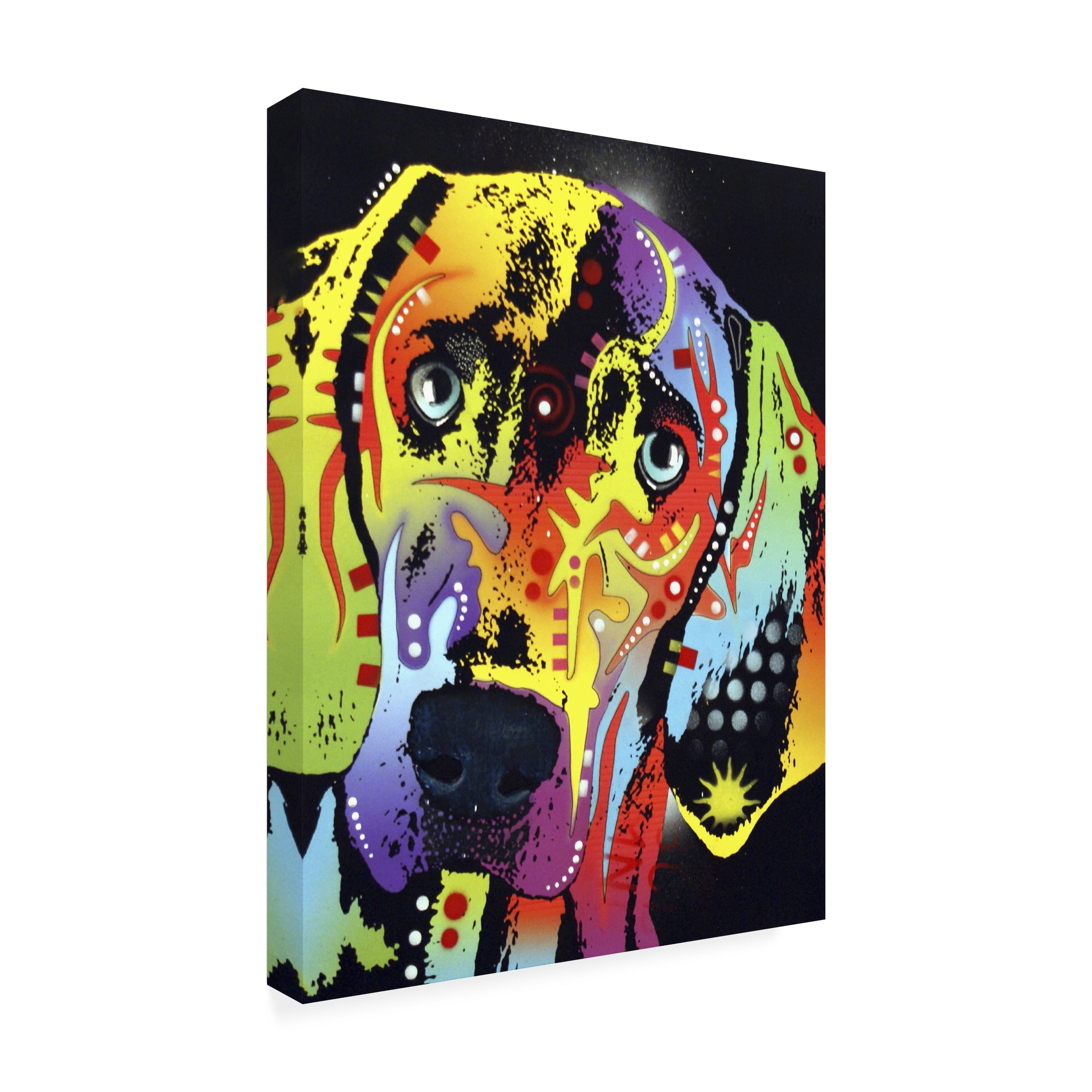 35x47 Gallery Wrapped Canvas Art