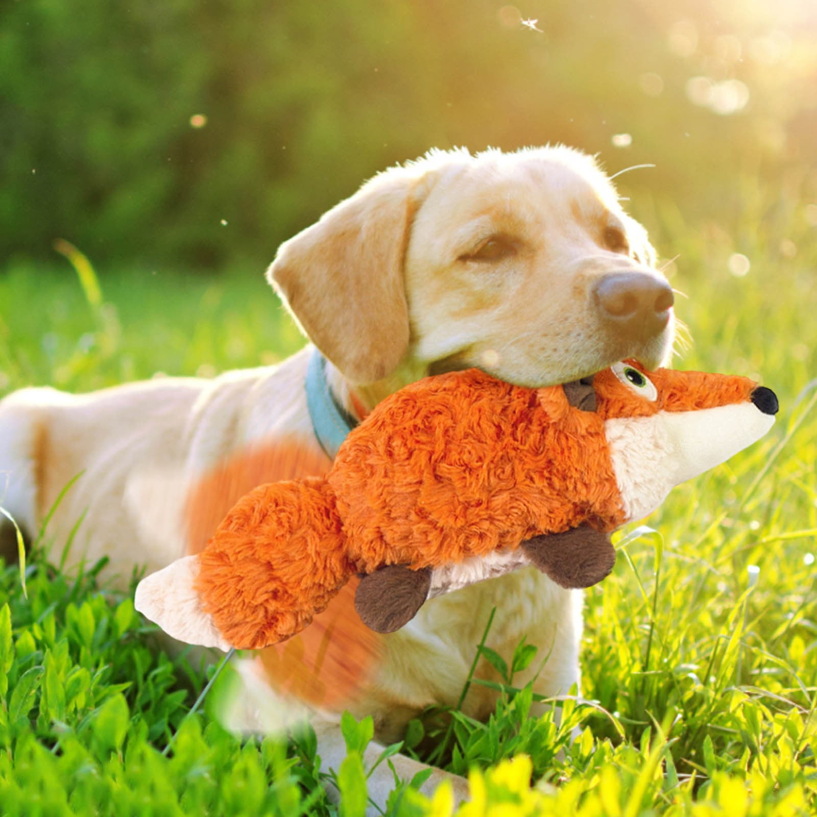 Interactive Pet Toy with Automatic Motion for Cats and Dogs Rattle Rechargeable Core Mint-Scented Design