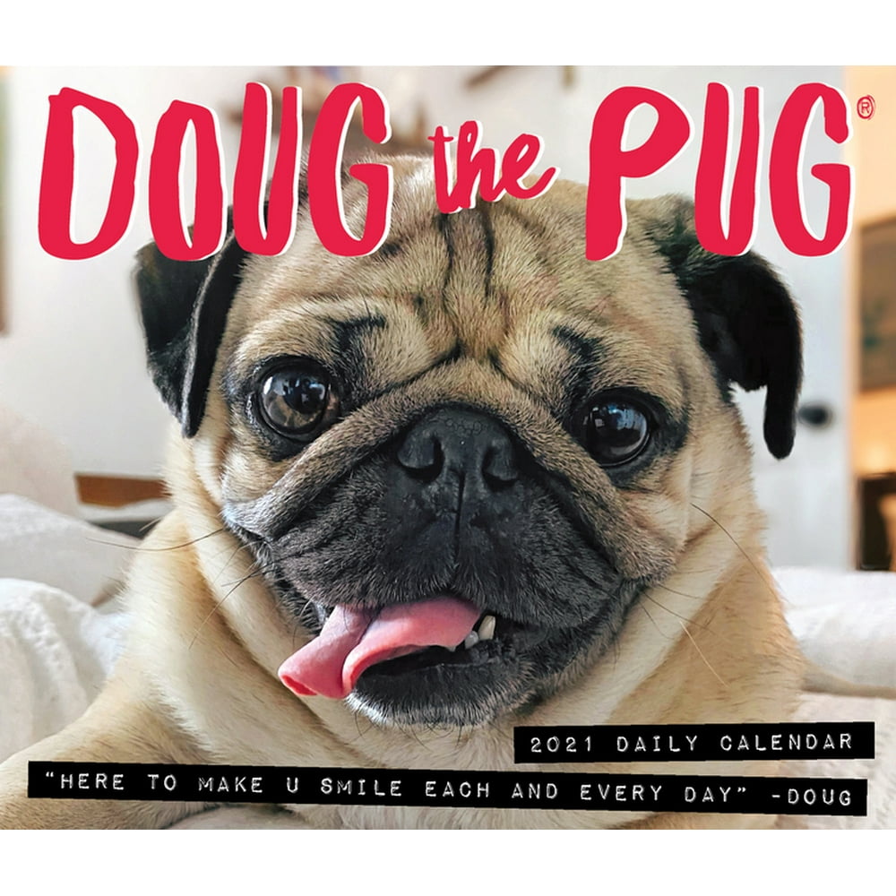 Doug the Pug 2021 Box Calendar (Dog Breed) (Other) - Walmart.com