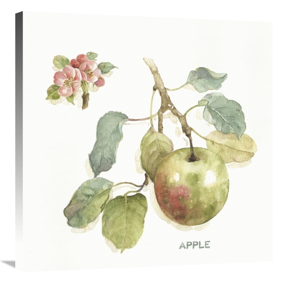 Global Gallery's 'Orchard Bloom I' By Lisa Audit Stretched Canvas Wall Art
