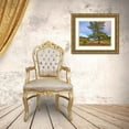 thumbnail image 3 of Fitzharris, Tim 18x15 Gold Ornate Wood Framed with Double Matting Museum Art Print Titled - Pine Tree-Cochetopa Hills-Rio Grande National Forest, 3 of 4