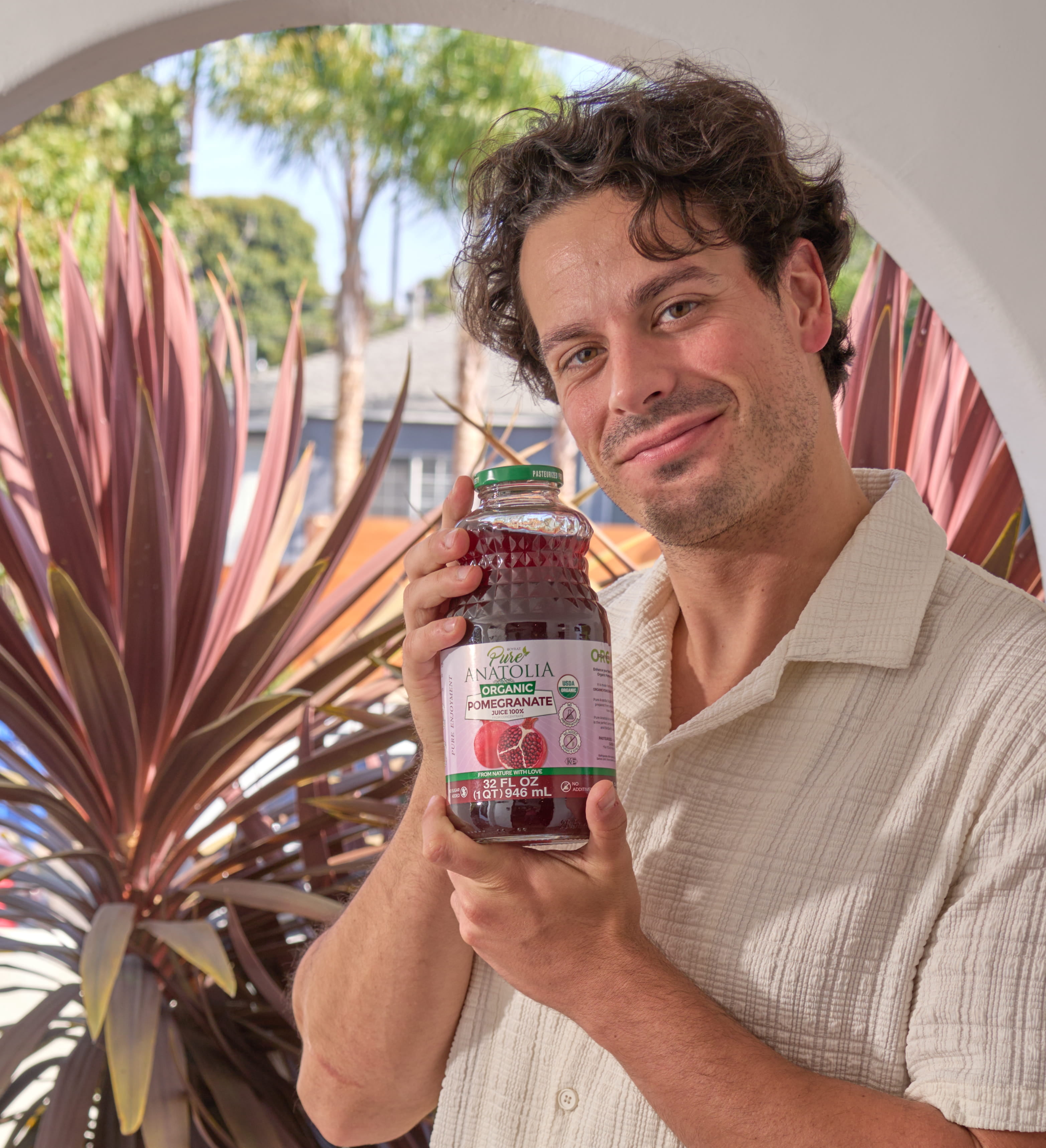 (6 pack) Pure Anatolia Organic Pomegranate Juice, 32 Fl Oz Glass Bottle