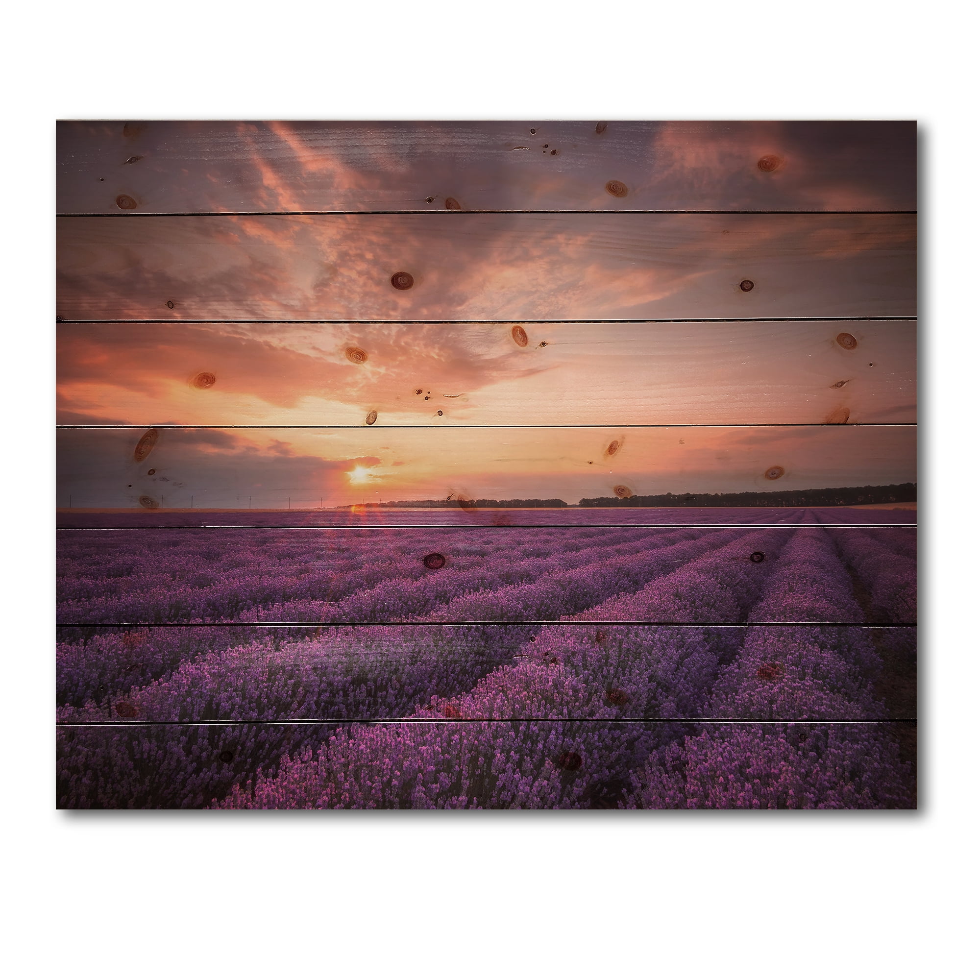 Designart 'Dramatic Clouds and Sunrise Over Lavender Field XII' Farmhouse Print on Natural Pine Wood