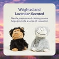 thumbnail image 3 of warmies Hugs Duo 9" Monkey Stuffed Animal, Microwavable Heated Plushies and Weighted Soft Plush Toys, 3 of 6