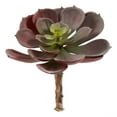 thumbnail image 2 of Nearly Natural 5" Echeveria Succulent Artificial Plant (Set of 12), Red, 2 of 2
