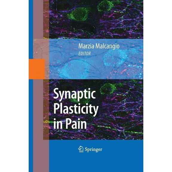 Synaptic Plasticity in Pain, (Paperback)
