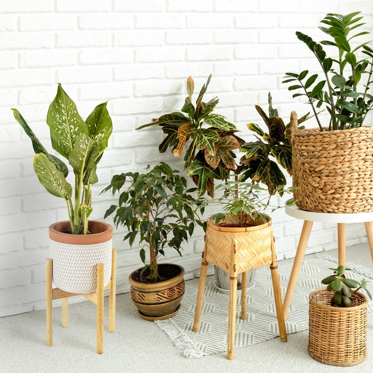 Nabytok Wood 15.3" x 16.1" Plant Stand Indoor Outdoor, Wooden Single Floor  Plant Pot Holder, Natural Plant Stand, Assembly Required (Excluding Potted  ...