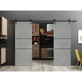 thumbnail image 3 of Sturdy Double Barn Door 60 x 84 inches with | Planum 0014 Concrete with Frosted Glass | 13FT Rail Hangers Heavy Set | Solid Panel Interior Doors, 3 of 6