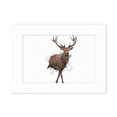 thumbnail image 1 of Animal Paper Break Shocks Photo Mount Frame Picture Art Painting Desktop 5x7 inch, 1 of 3