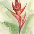 thumbnail image 2 of Paschke, Chris 26x26 White Modern Wood Framed Museum Art Print Titled - Exotic Flower IV, 2 of 4