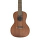 thumbnail image 4 of Kit de inicio de ukelele Kala Learn to Play Concert, caoba satinada, 4 of 7