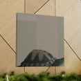 thumbnail image 6 of Box Turtle Reflection - Canvas, 6 of 10