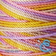 thumbnail image 2 of Espiga No.18 Variegated - 100% Nylon Omega String Cord for Knitting and Crochet - 33 Confetti, 2 of 8