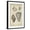 Black Frame, variant on Art.com Vintage Shell Study II Art Print by Martini, 12" x 18"