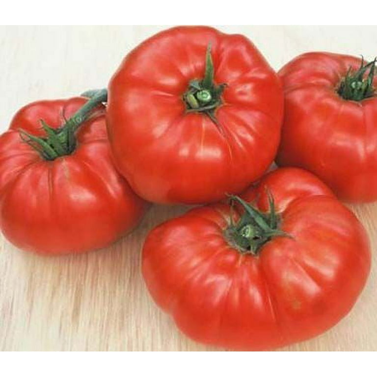 Tomato Beefsteak Garden Heirloom Vegetable 200 Seeds Tomato Beefsteak Garden Heirloom Vegetable 200 Seeds